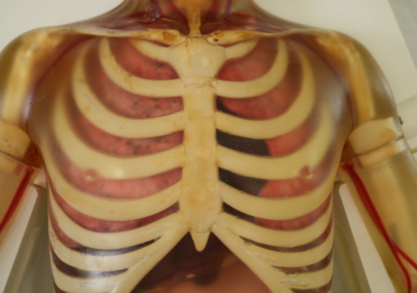 綜合超聲檢查平臺3.0